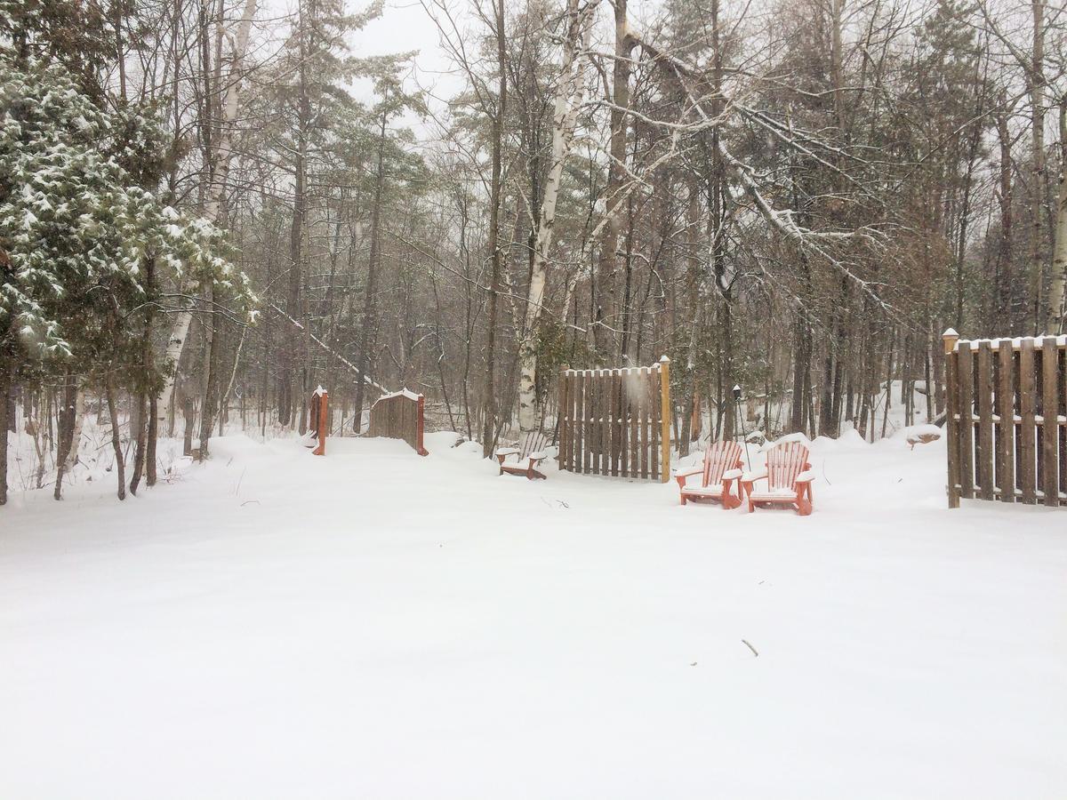 Adirondack Spruce Lodge Wilmington Dış mekan fotoğraf