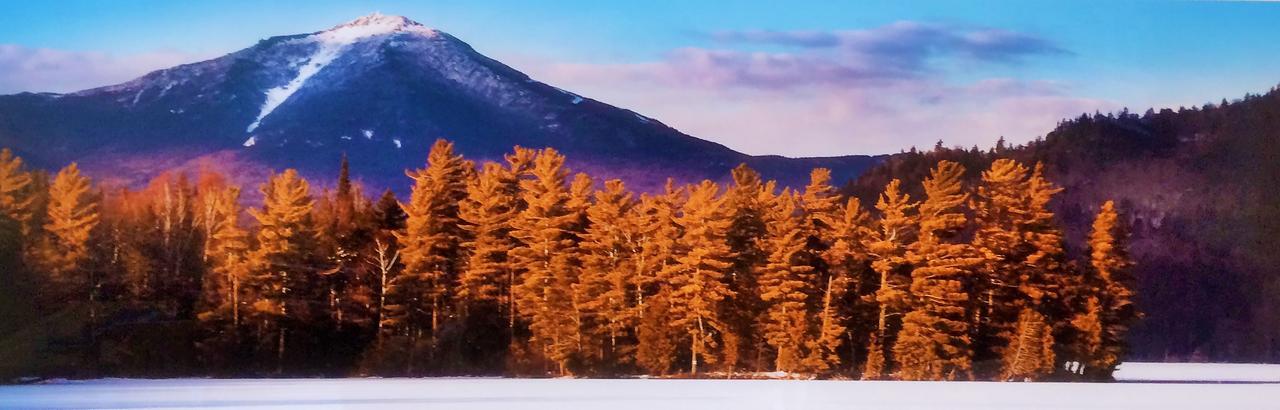Adirondack Spruce Lodge Wilmington Dış mekan fotoğraf