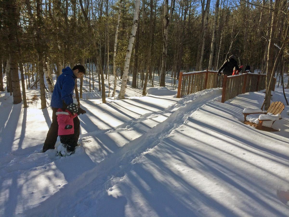 Adirondack Spruce Lodge Wilmington Dış mekan fotoğraf